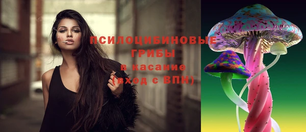 амф Рославль