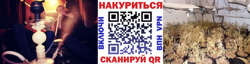 закладки  Южа  Марихуана SATIVA & INDICA 